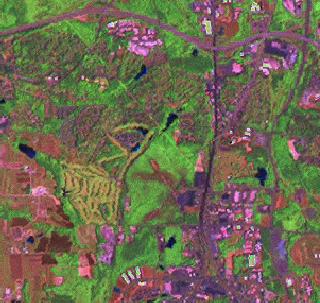 R, G, B composite of Landsat Brovey fusion at 14.25m